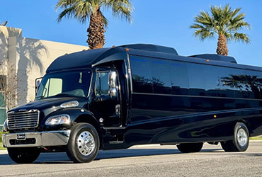 A black minibus parks in front of palm trees